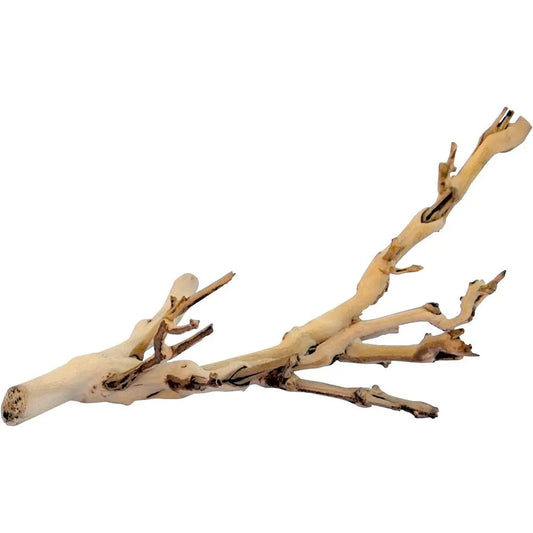 Miniature Woodland Terrarium Accessory for Reptiles and Small Pets