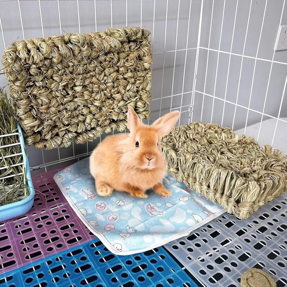 Grass Bed 2PCS Guinea Pig Hay Mat Bunny Natural Woven Bedding Sleng Grinding Nesting Chewing Toy Rabbit Guinea Pig Chinchilla He