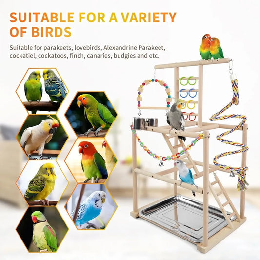Small to Medium Bird Playstand with Ladders Rope Perch Swing Feeder Cups