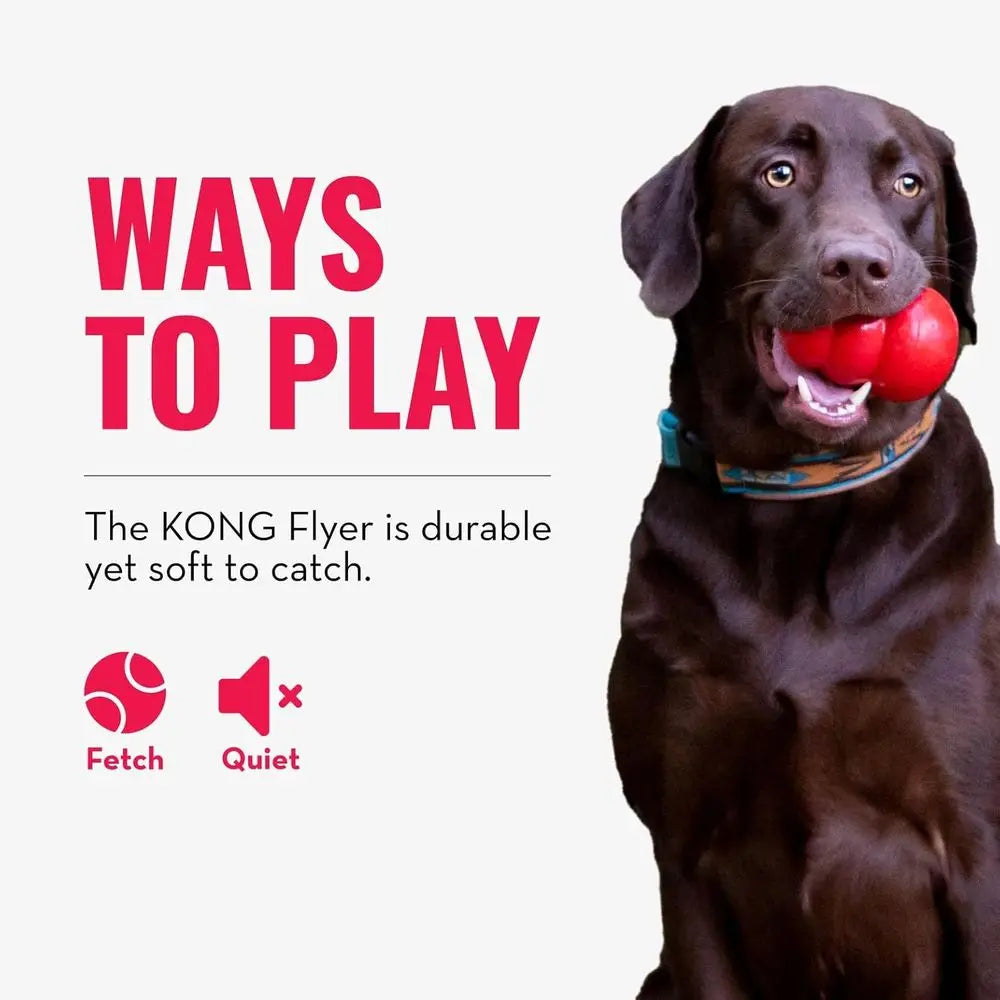 Durable Dog Toy or Outdoor Playtime - Natural Rubber Disc, Dog Toy or Activity - Ideal for Medium/Large Dogs