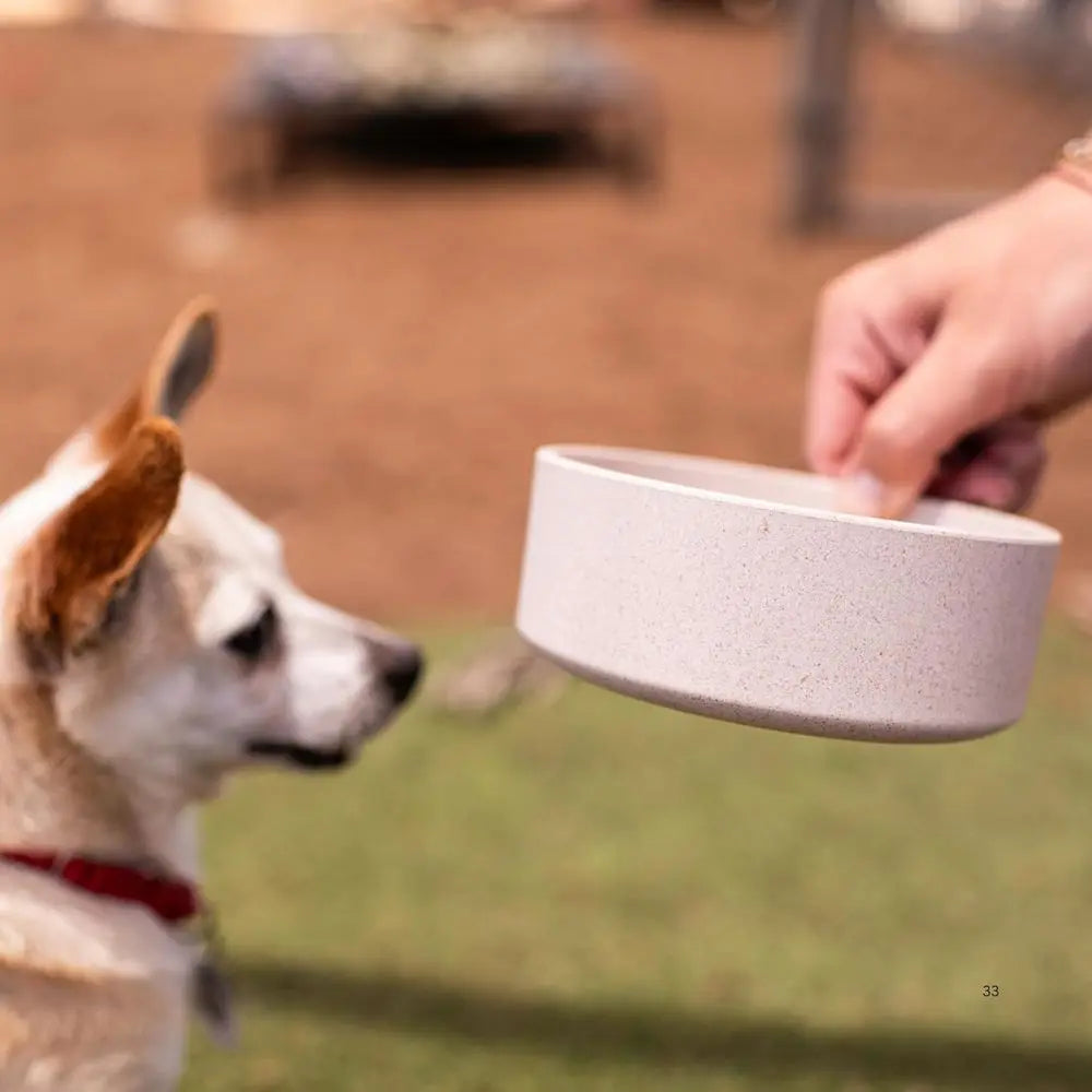 Eco-friendly Pet Bowls & Dishes for Dogs, Cats, Puppies - Sustainable, Dishwasher Safe, Made with Real Bamboo (Small, Oat-Beige)
