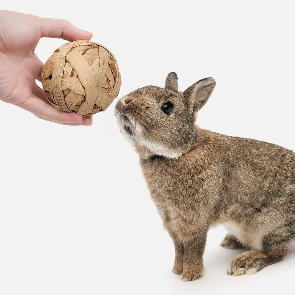 Small Animal Activity Toy, Pet Balls for Chinchilla Guinea Pig Rats Rabbits Hamster Gerbil Degu Bunny and Other Small Animals