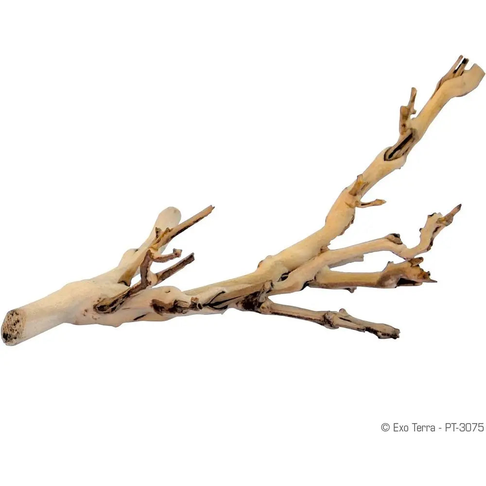 Miniature Woodland Terrarium Accessory for Reptiles and Small Pets