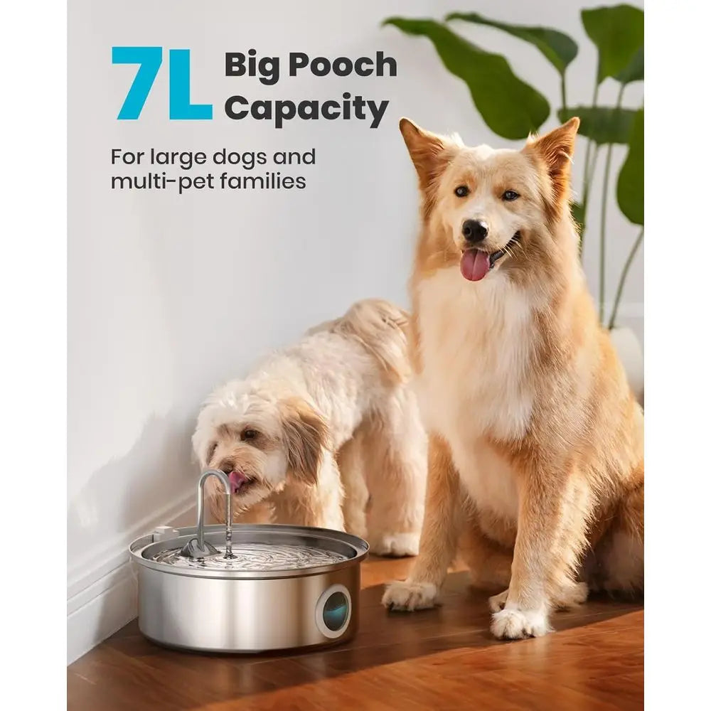 7L/230oz Stainless Steel Pet Fountain with Visual Water Level, Ultra-Quiet Water Bowl for Large/Medium Dogs, Dispenser for Livin