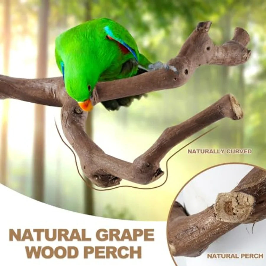 6-Piece Bird Perch Set - Natural Wood Grape Sticks, Paw Grinding Forks, Bird Stand and Toys for Parakeets, Cockatiels, Conure,