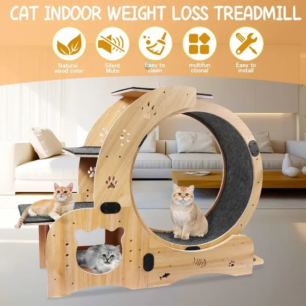 6-in-1 Upgraded Cat Exercise Wheel, Silent Large Treadmill for Indoor Cats