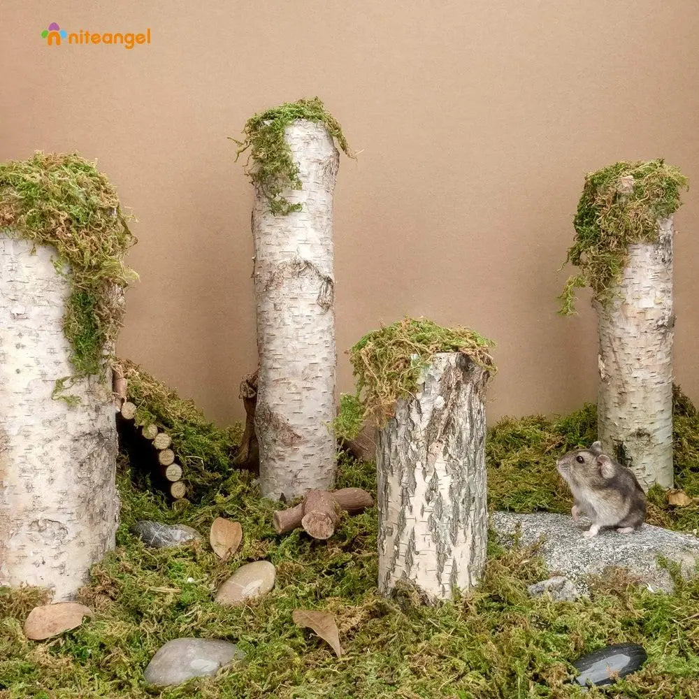 5L Natural Moss Bedding Nesting for Dwar Syrian Hamsters, Gerbils, Mice, Degus or Other Small Animals