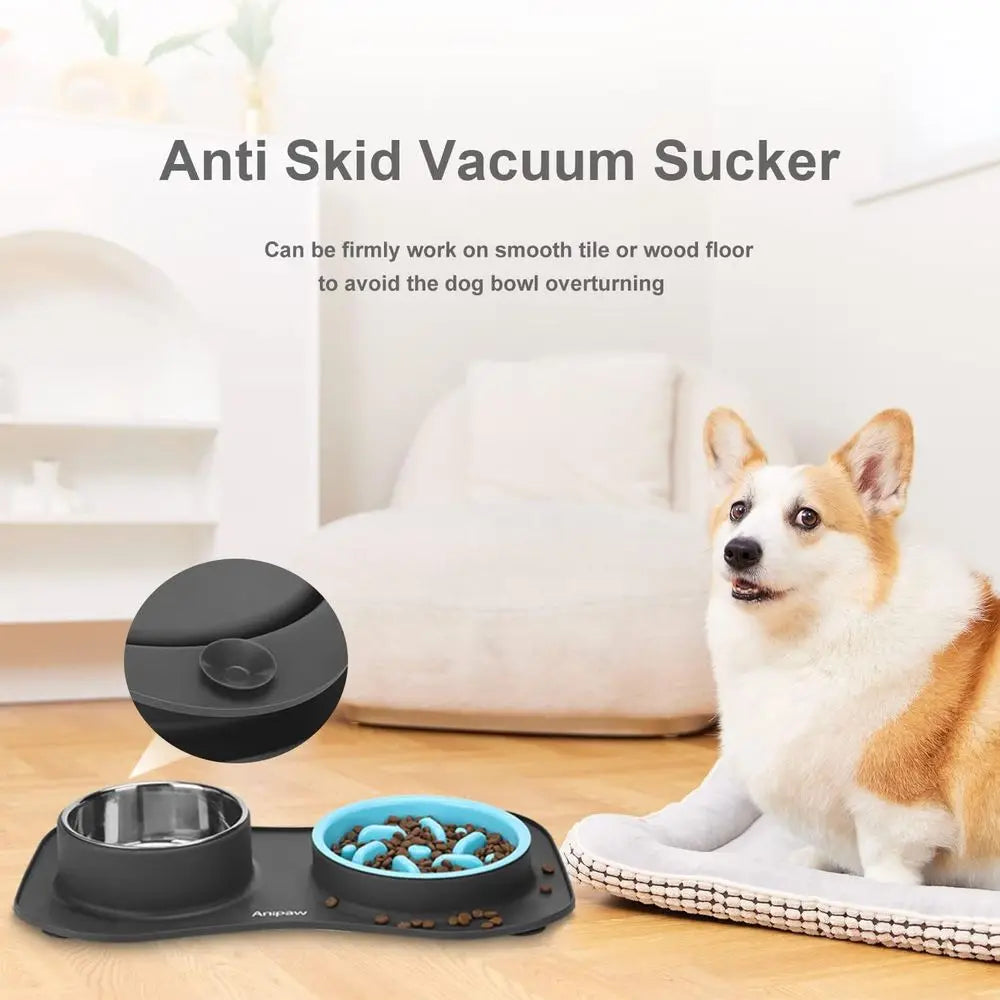 3 in 1 Stainless Steel Food and Water Bowls with Non-Spill and Skid Silicone Mat to Slow Down Eating for Large, Medium, Small Br