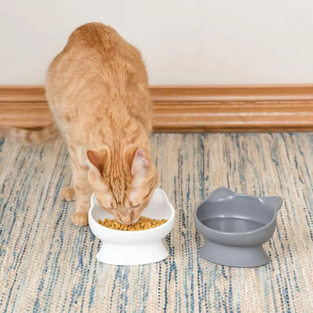 Elevated Cat Bowls (Set of 2), Raised Cat Food & Water Dishes, Pedestal Design, Dishwasher Safe, 6.5 oz Each – White & Gray