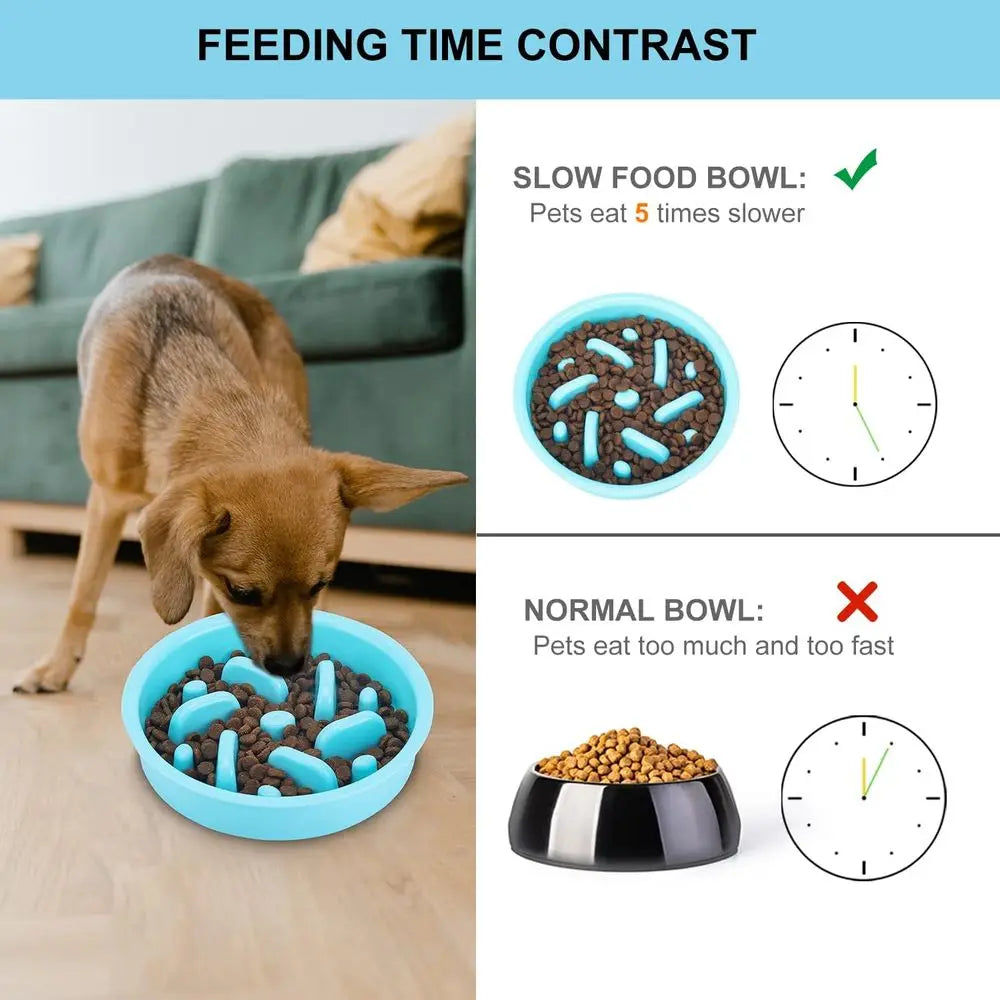 3 in 1 Stainless Steel Food and Water Bowls with Non-Spill and Skid Silicone Mat to Slow Down Eating for Large, Medium, Small Br