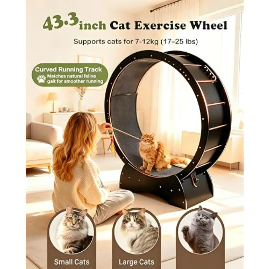 Cat Exercise Wheel for Indoor Cats with 2 Replacement Carpets, 43.3in Large Quiet Cat Running Wheel for Maine Coon and Active C
