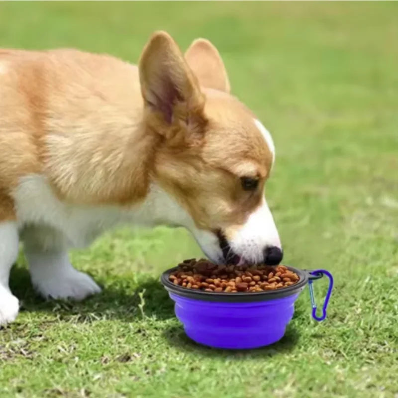 Durable TPR Portable Pet Food Bowl Collapsible Travel for Pets
