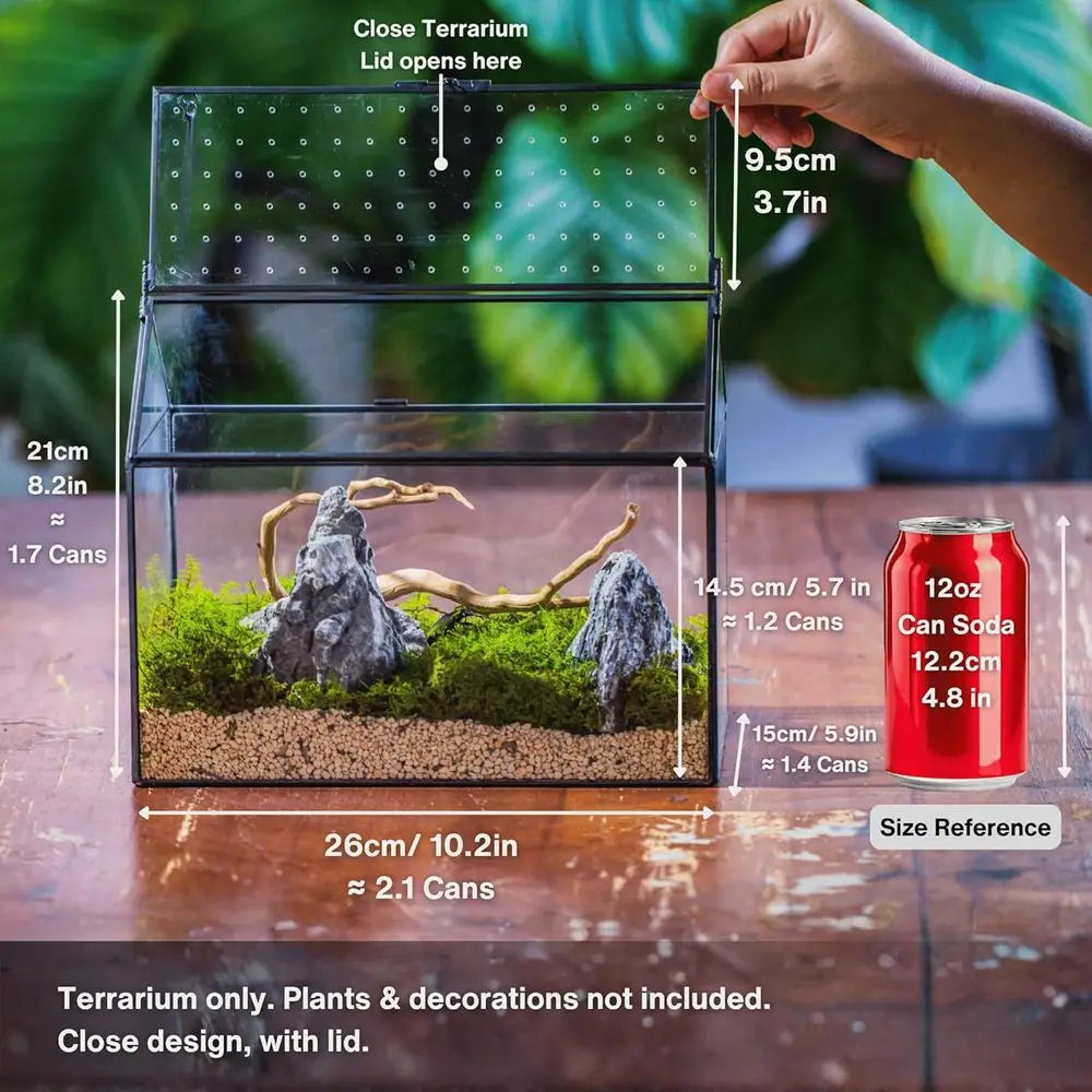 Handcrafted House-Shaped Glass Terrarium with Acrylic Lid, 10.2x5.9x8.2 Inches, Ideal for Snails and Indoor Decor (Plants Not In