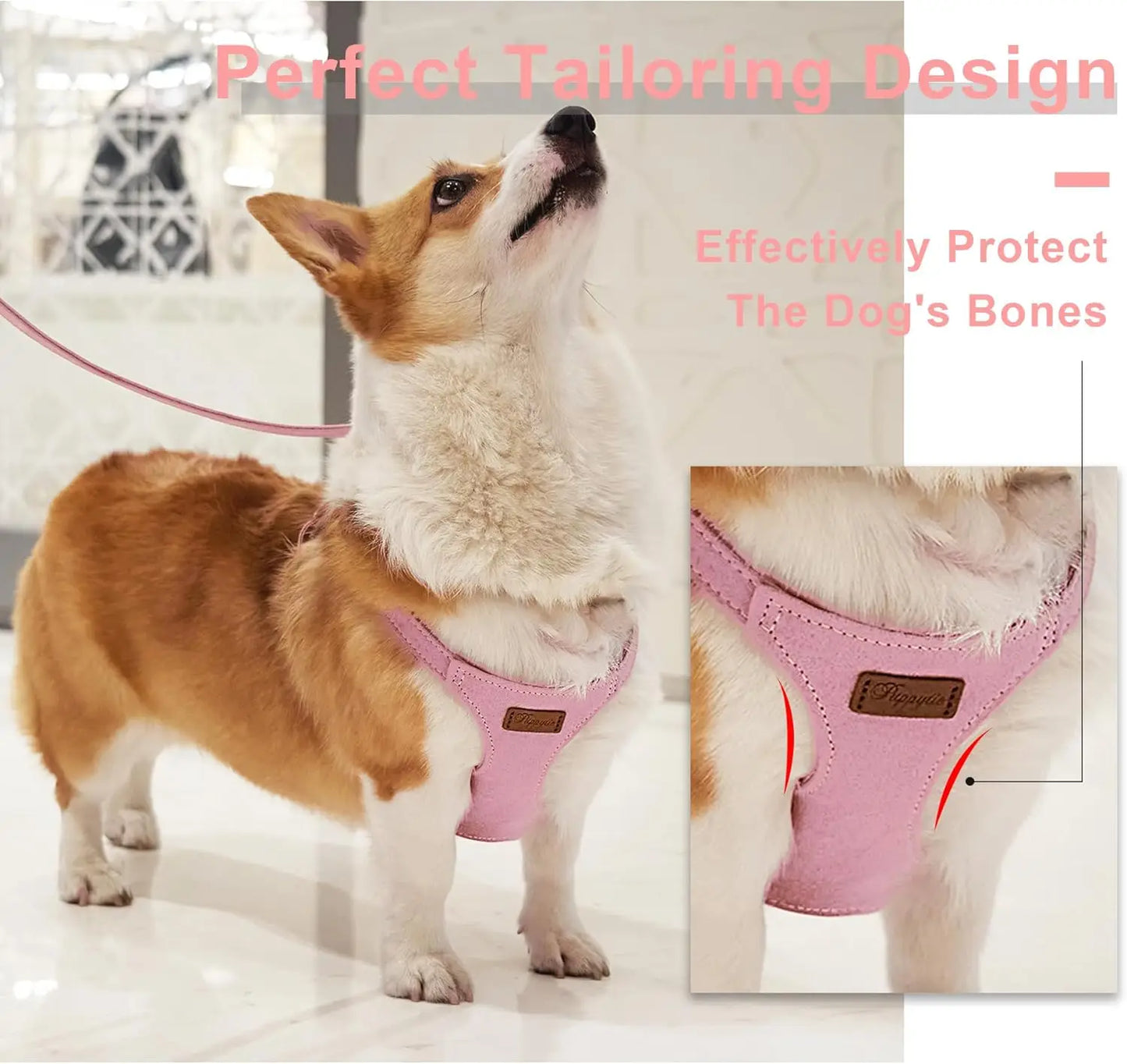 Adjustable No-Pull Dog Harness With Leash For Small Dogs