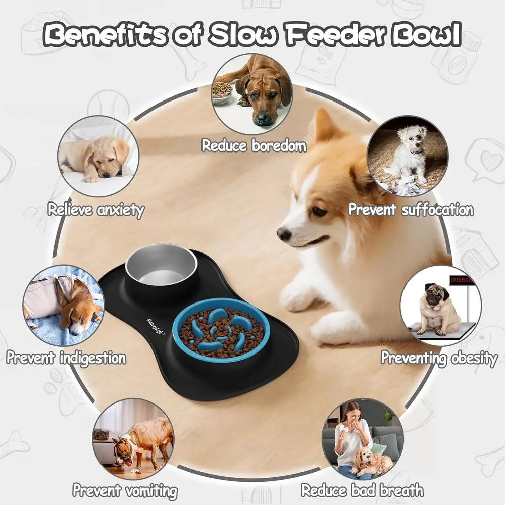 3 in 1 Slow Feeder Dog Bowls & Stainless Steel Water Bowl with Non-Spill Silicone Mat, Cat and Puppy Bowls Pet Dishes for Small